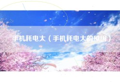 手机耗电大（手机耗电大的原因）