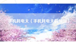 手机耗电大（手机耗电大的原因）