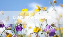 浅谈数字化转型的重要性