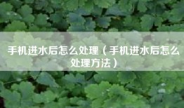 手机进水后怎么处理（手机进水后怎么处理方法）