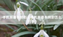 手机屏幕有阴影（手机屏幕有阴影怎么回事）
