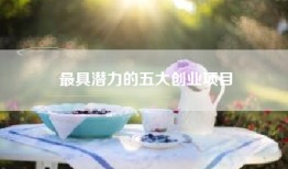 最具潜力的五大创业项目