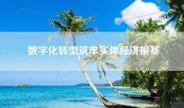 数字化转型筑牢实体经济根基