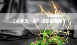 冷水养鱼“游”出致富新路子