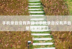 手机录音没有声音（手机录音没有声音是哪里坏了）