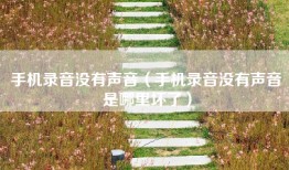 手机录音没有声音（手机录音没有声音是哪里坏了）