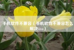 手机软件不兼容（手机软件不兼容怎么解决vivo）