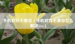 手机软件不兼容（手机软件不兼容怎么解决vivo）
