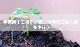 手机换个主板多少钱（换手机主板大概多少钱）