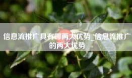 信息流推广具有哪两大优势_信息流推广的两大优势