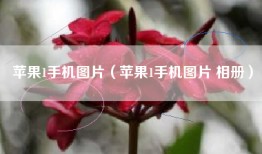 苹果1手机图片（苹果1手机图片 相册）