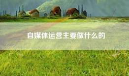 自媒体运营主要做什么的