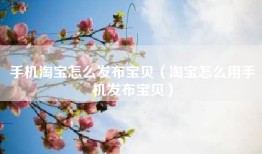 手机淘宝怎么发布宝贝（淘宝怎么用手机发布宝贝）
