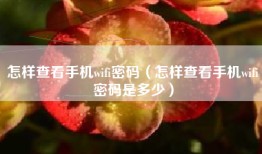 怎样查看手机wifi密码（怎样查看手机wifi密码是多少）