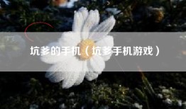 坑爹的手机（坑爹手机游戏）