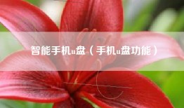 智能手机u盘（手机u盘功能）