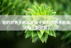 我的世界手机版正版（我的世界手机版正版下载安装）