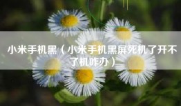 小米手机黑（小米手机黑屏死机了开不了机咋办）