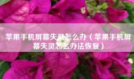 苹果手机屏幕失灵怎么办（苹果手机屏幕失灵怎么办法恢复）