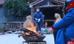 李子柒是谁？90后的她凭什么爆红海外，央媒还纷纷为她点赞？