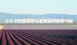 小红书的商品怎么看销量榜数据分析