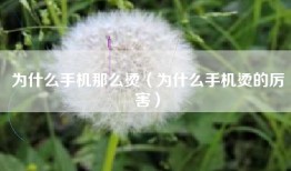 为什么手机那么烫（为什么手机烫的厉害）