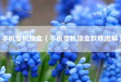 手机变机顶盒（手机变机顶盒教程图解）