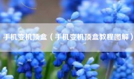 手机变机顶盒（手机变机顶盒教程图解）