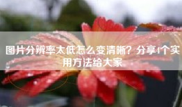 图片分辨率太低怎么变清晰？分享4个实用方法给大家