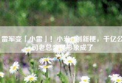 雷军变「小雷」！小米14创新梗，千亿公司老总亲民形象成了