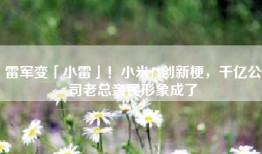 雷军变「小雷」！小米14创新梗，千亿公司老总亲民形象成了