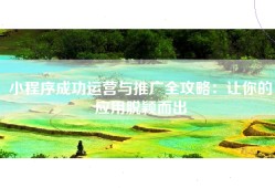 小程序成功运营与推广全攻略：让你的应用脱颖而出