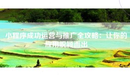 小程序成功运营与推广全攻略：让你的应用脱颖而出
