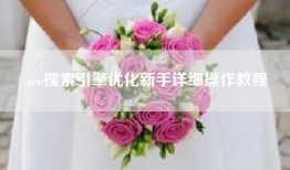seo搜索引擎优化新手详细操作教程