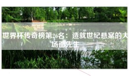 世界杯传奇榜第26名：造就世纪悬案的大场面先生