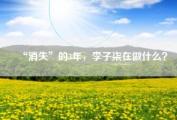 “消失”的3年，李子柒在做什么？