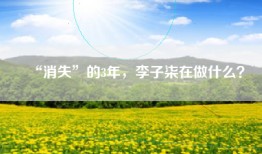 “消失”的3年，李子柒在做什么？