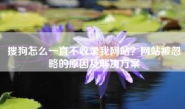 搜狗怎么一直不收录我网站？网站被忽略的原因及解决方案