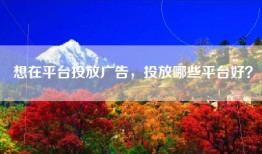 想在平台投放广告，投放哪些平台好？