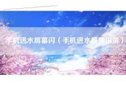 手机进水屏幕闪（手机进水屏幕闪屏）