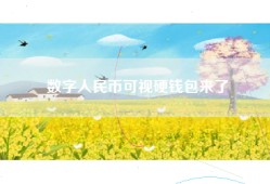 数字人民币可视硬钱包来了