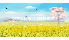 数字人民币可视硬钱包来了