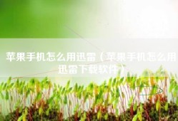苹果手机怎么用迅雷（苹果手机怎么用迅雷下载软件）