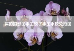 实拍摄影图手工饺子手工水饺免抠图