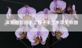 实拍摄影图手工饺子手工水饺免抠图