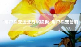 用户裂变运营方案模板_用户裂变营销