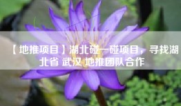 【地推项目】湖北碰一碰项目，寻找湖北省 武汉 地推团队合作
