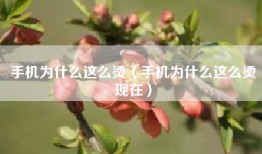 手机为什么这么烫（手机为什么这么烫现在）
