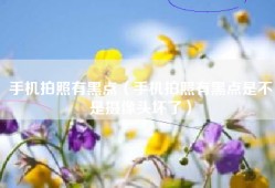 手机拍照有黑点（手机拍照有黑点是不是摄像头坏了）