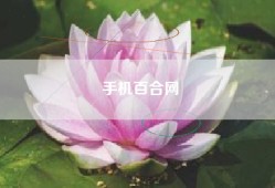 手机百合网